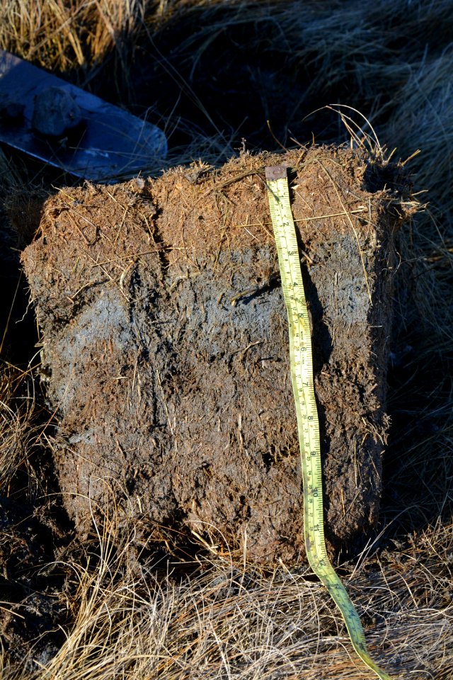20210122-JT-NRCS-002.jpg