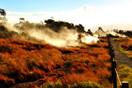 Steam Vents at Volcano National Park photo
