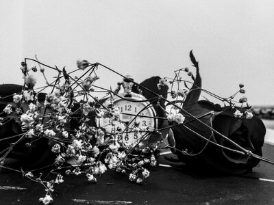 Relegio time flowers