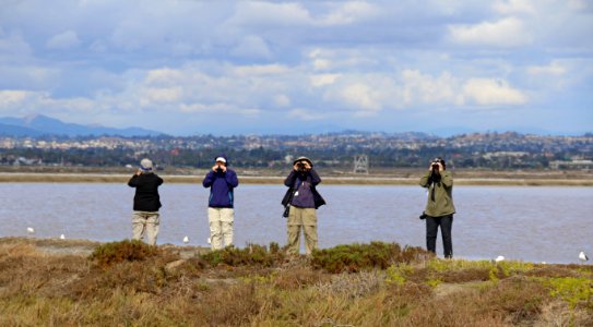 San Diego Bird Festival 2018 at San Diego National Wildlife Refuge