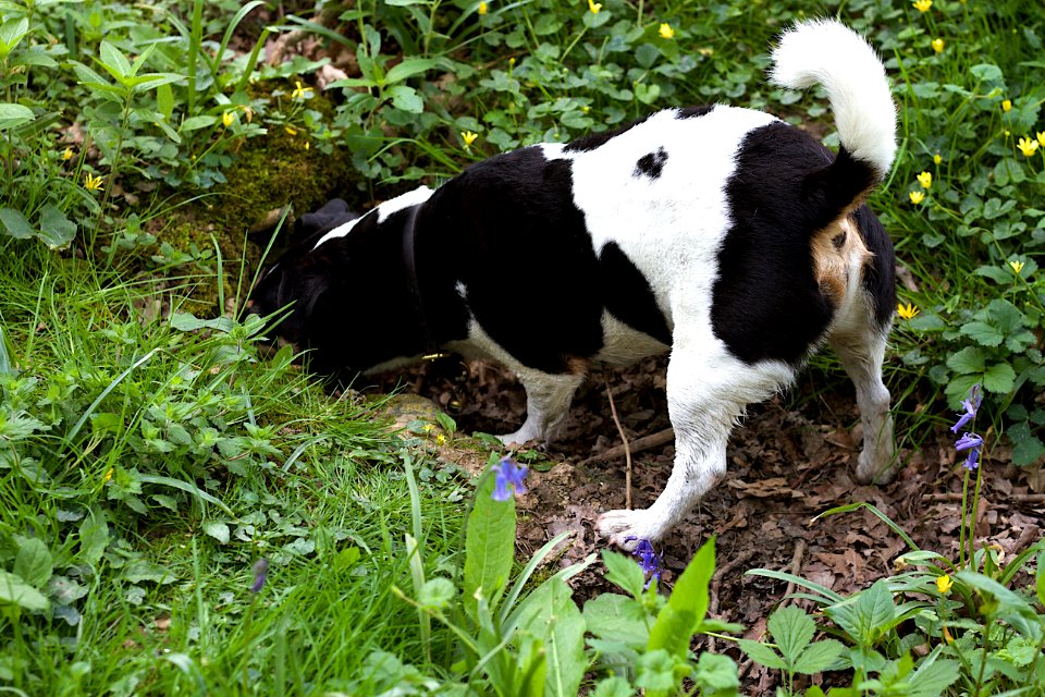 Colin Explores Holes