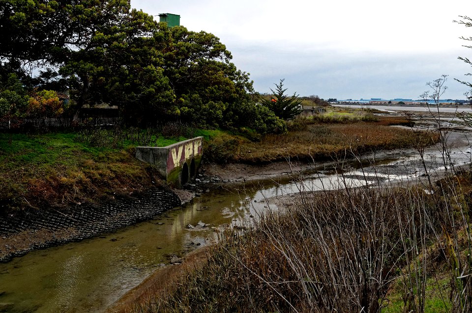014 King Tide 12.22.2018 Albany, CA
