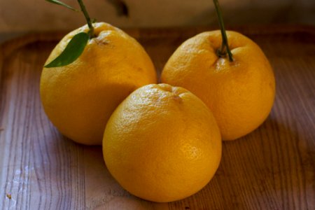 Three Real Grapefruits