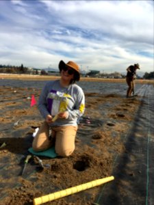 Planting a common garden at University of Reno, Nevada photo