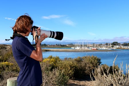 Biologist Lilian Carswell photographing otters at Jetty Road in Moss Landing photo