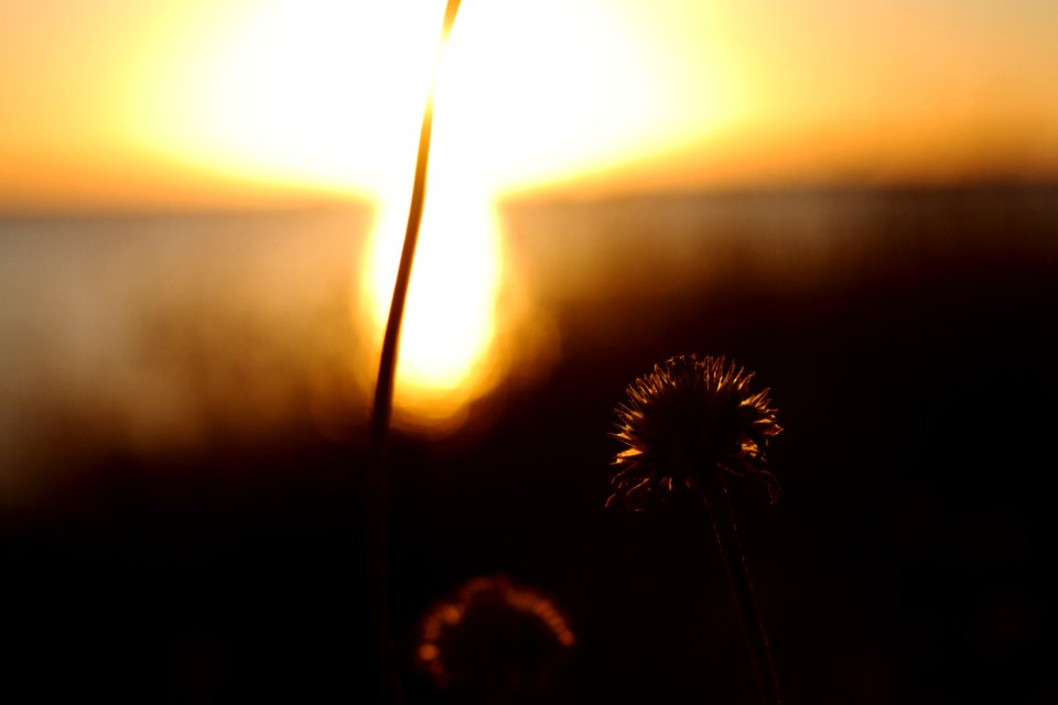 Soaking Up The Glow