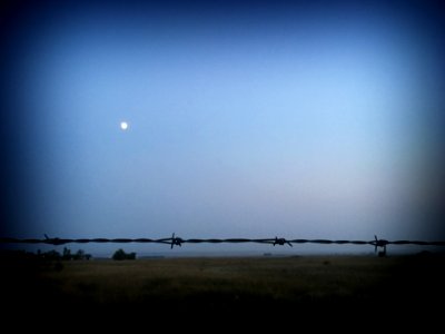 Moon Over Wire