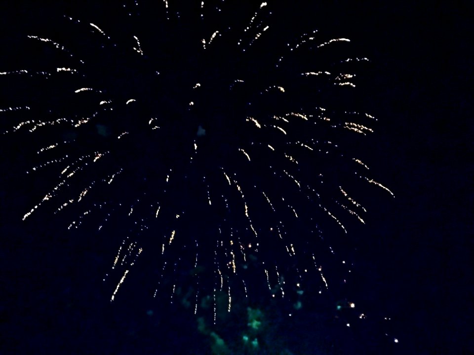 Not Only Canada Day Celebration