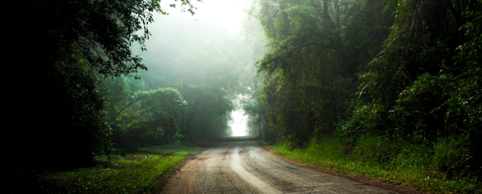 Rio Claro
