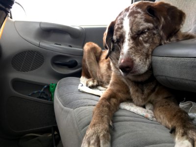 Tired From the Weekend