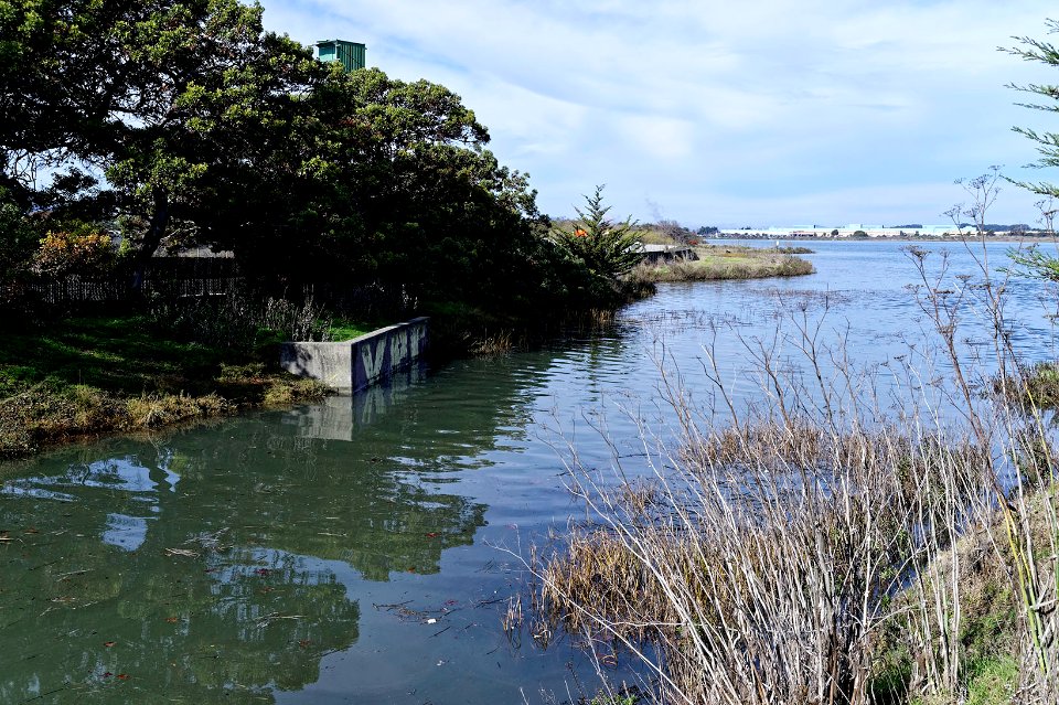 013 King Tide 12.22.2018 Albany, CA