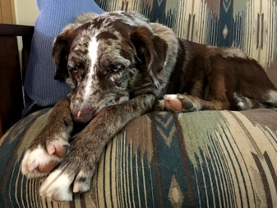 Worn Out