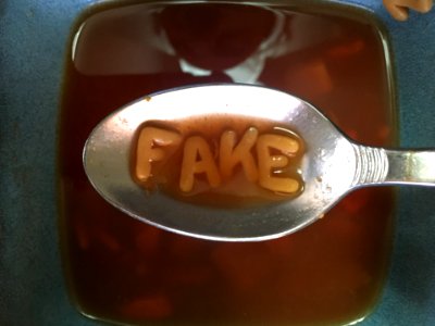 FAKE SOUP!