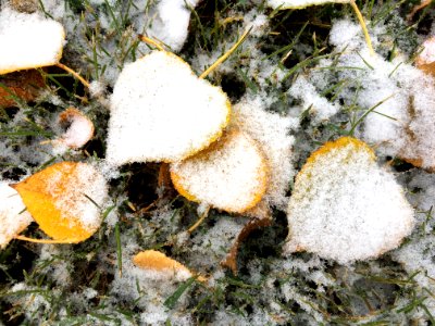 The Seasons Move Fast Here