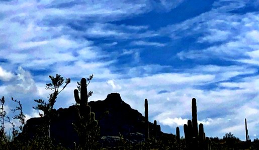 Shape of the Desert