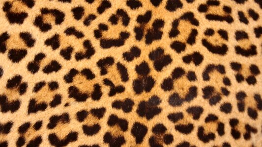 Texture print wildlife