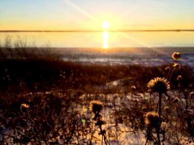 Sunset Witnesses
