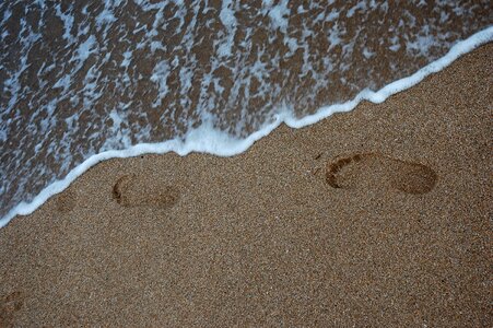 Sea busan sandy beach photo