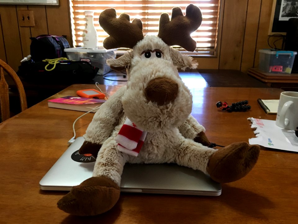 Mort Is Ready To Go