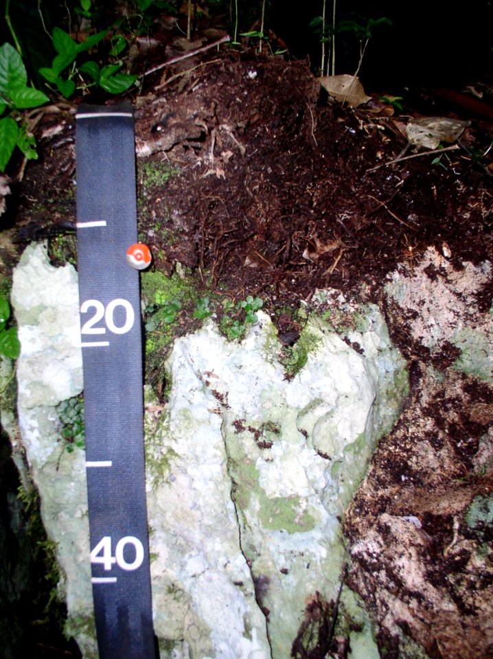 20031020-SR-NRCS-002.jpg