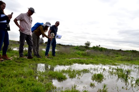 Vernal pool site in Otay Mesa, California photo