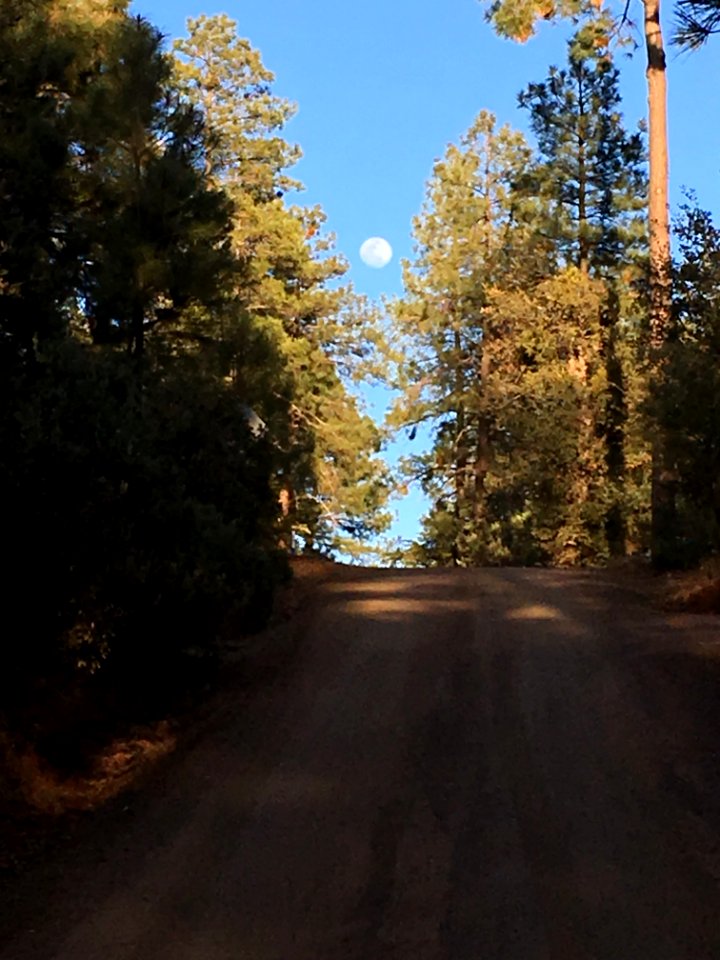 Down the Street from Mega Moon