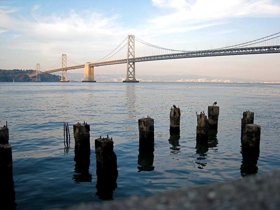 Seagull view of Bay Bridge