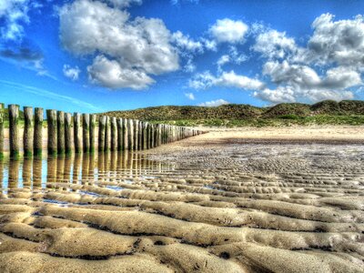Beach dunes sea