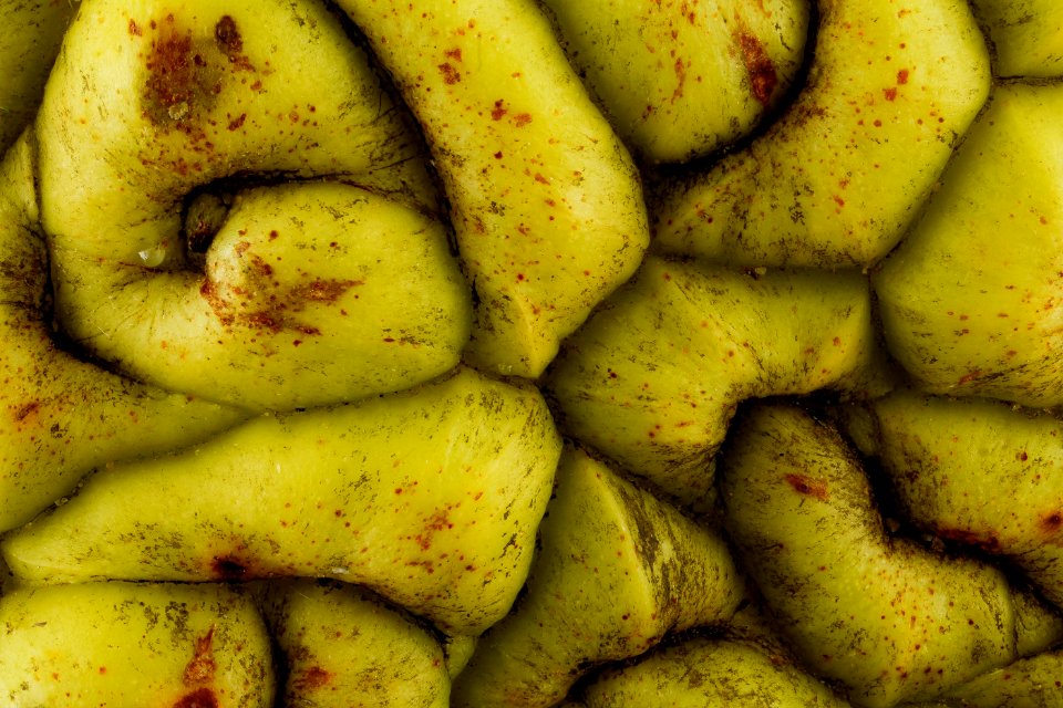 Osage orange (Maclura pomifera) fruit, 2X 2012-12-18-17.10.59 ZS PMax photo