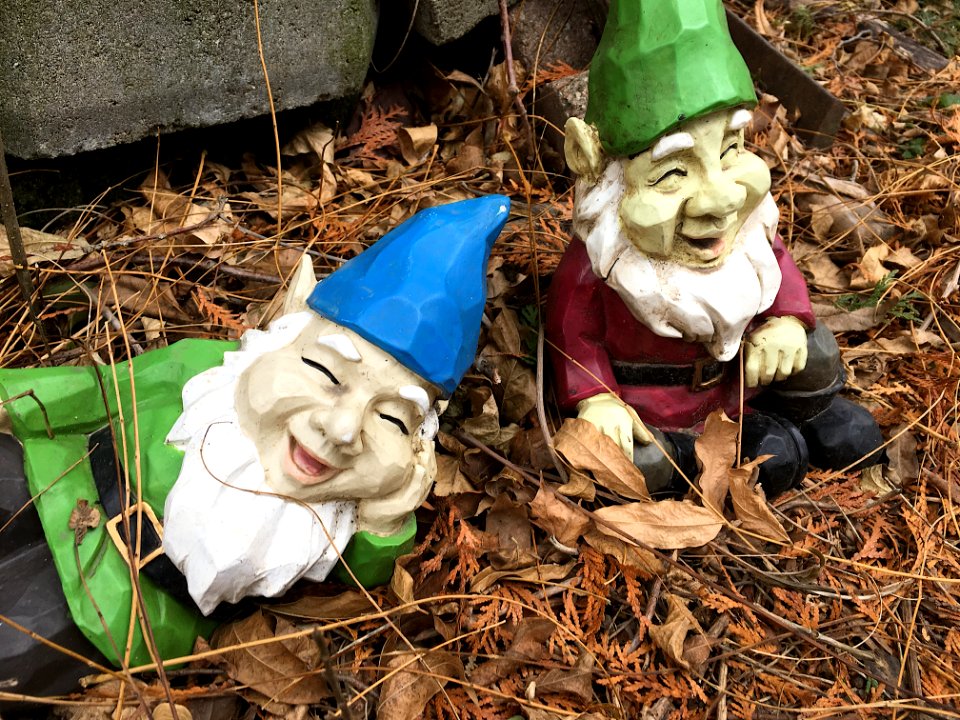 I was Told There Would Be No Gnomes