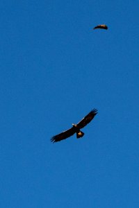 20190827-NRCS-LSC-0781