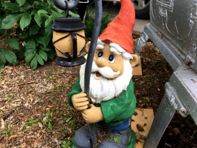 2018/365/166 What Gnomes Don't Know