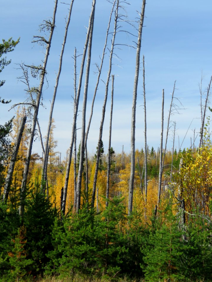 171017-FS-Superior-SAR-fallhamlakefirearea2