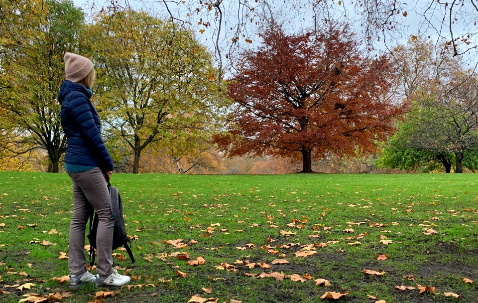 carmen fiano giardini buckingham palace londra