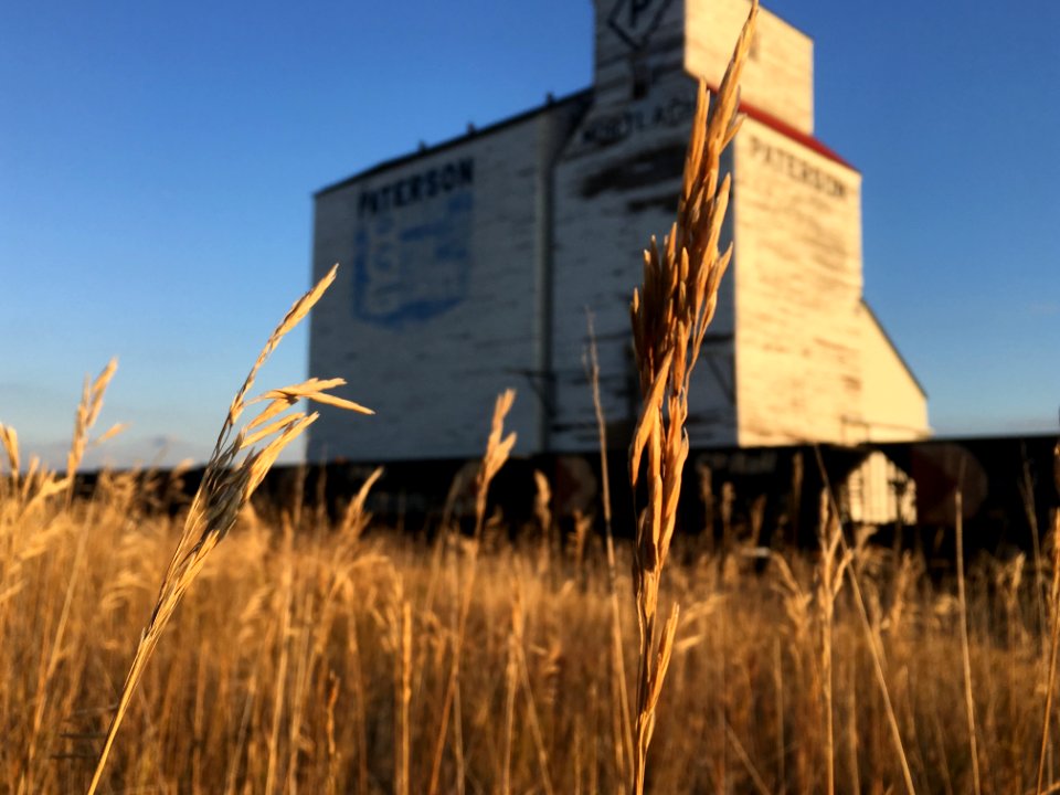 2018/365/278 Watching From the Siding