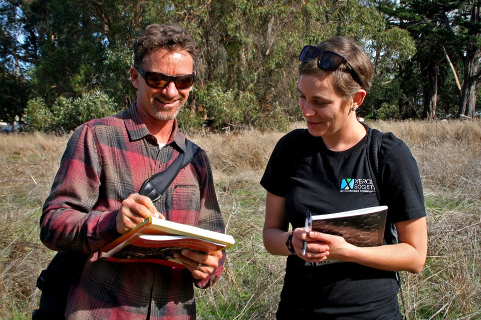 Bill Henry, director of Groundswell Coastal Ecology, and Emma Pelton, conservation biologist with The Xerces Society for Invertebrate Conservation, discuss data.