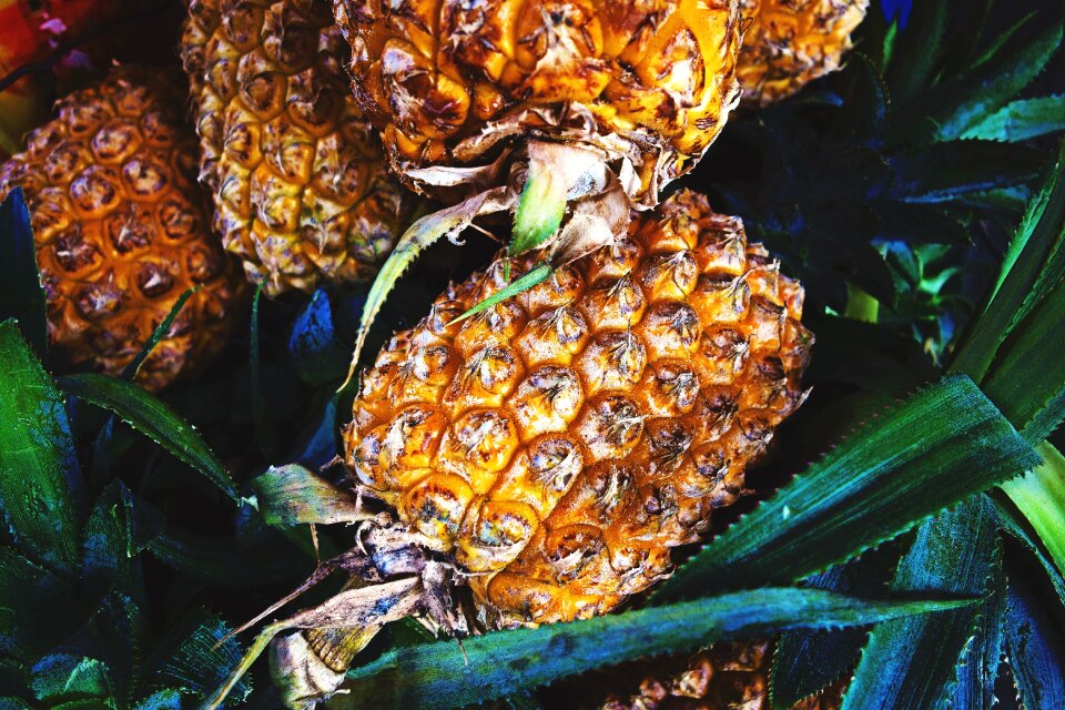 Fresh food healthy