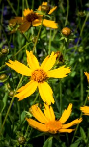20170526-AMS-LSC-0242