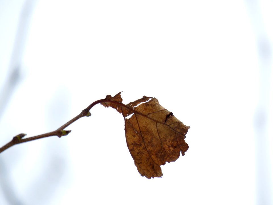 20201027-FS-Superior-SAR-015