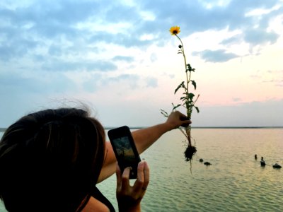 One Flower to Love Them All