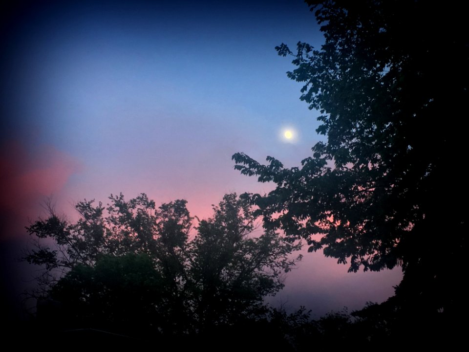 To Catch a Moon