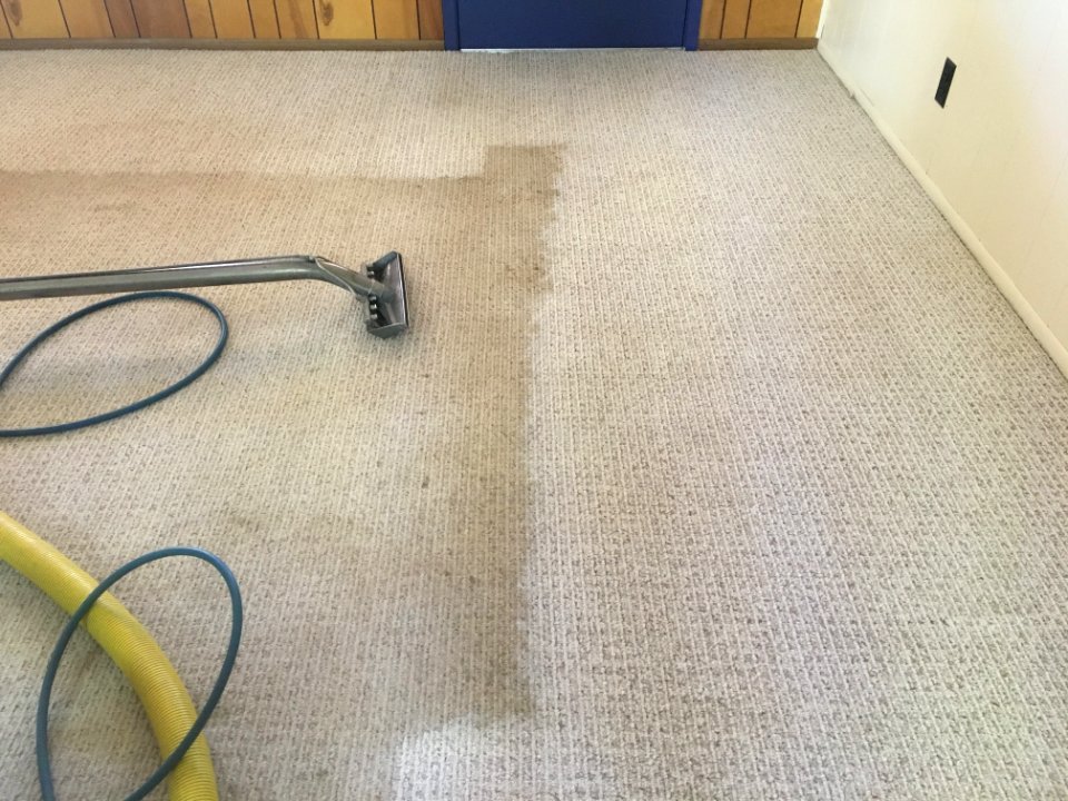 A Whole New Old Carpet