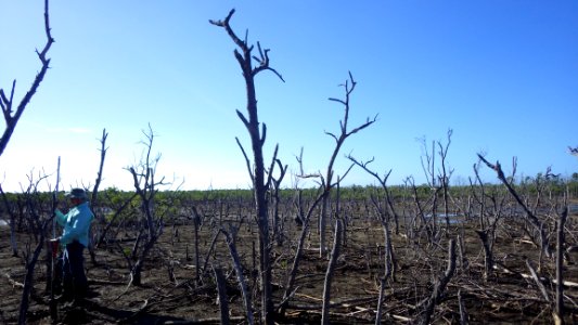 20190308-SR-NRCS-001.jpg