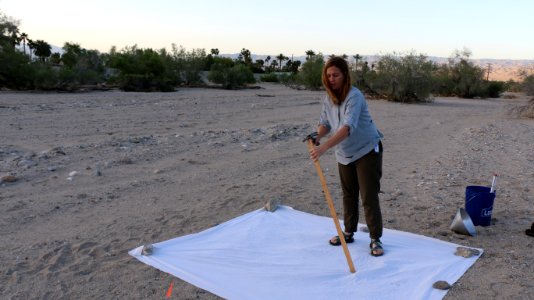 FWS Biologist Noelle Ronan sets up the survey site photo