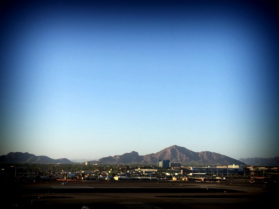 The Camel Over Phoenix