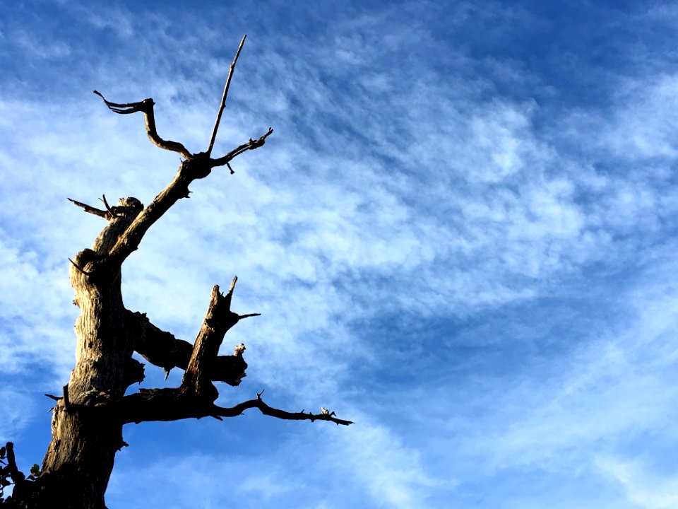 It's Useless to Rant and Fight the Sky