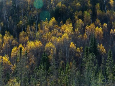 171017-FS-Superior-SAR-fallhamlakefirearea4 photo