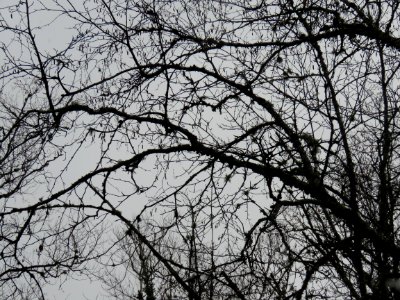 20191023-FS-Superior-SAR-007