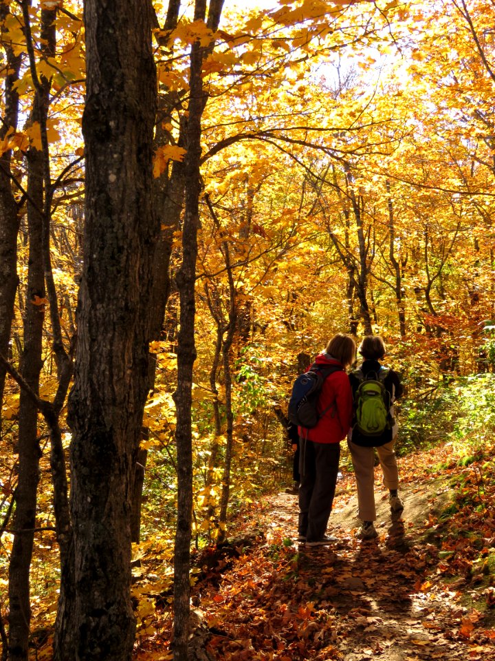 171010-FS-Superior-SAR-obergtrailhikers