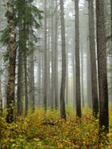 20181003-FS-Superior-SAR-015
